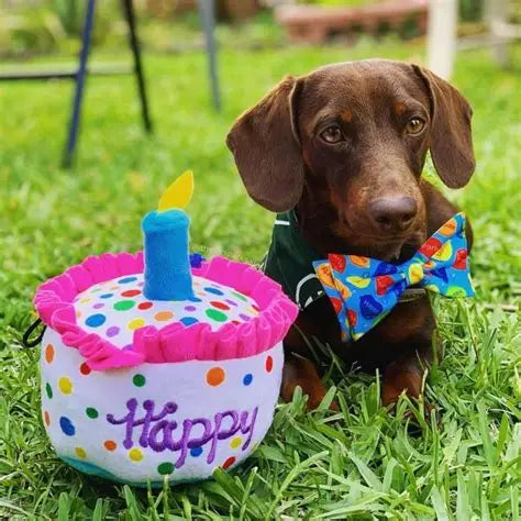 Huxley Kent Dog Toy Power Plush Happy Barkday Cake Large
