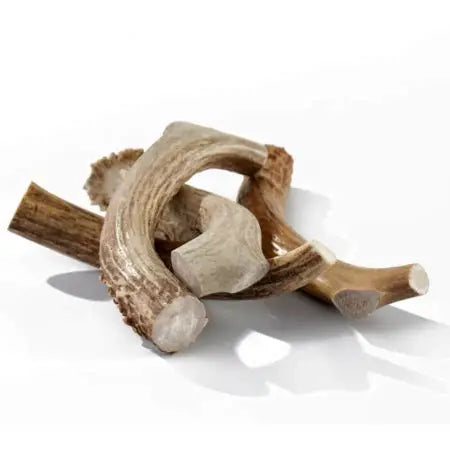 Buck Bone Dog Chew Deer Antler 5-8"