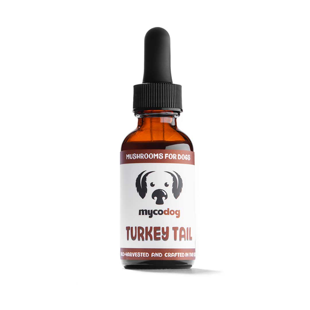 Mycodog Turkey Tail Mushroom Extract