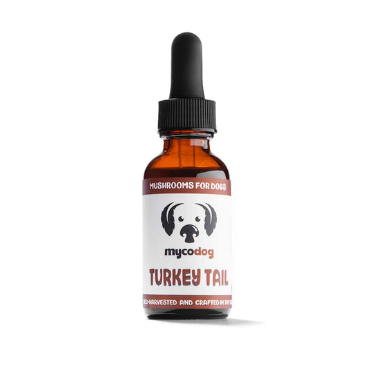 Mycodog Turkey Tail Mushroom Extract