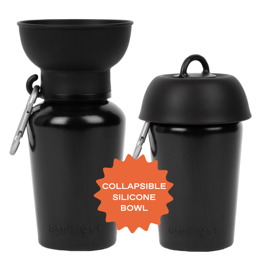 Dog Travel Water Bottle - 20oz Flip (Mixed 12 Pack)