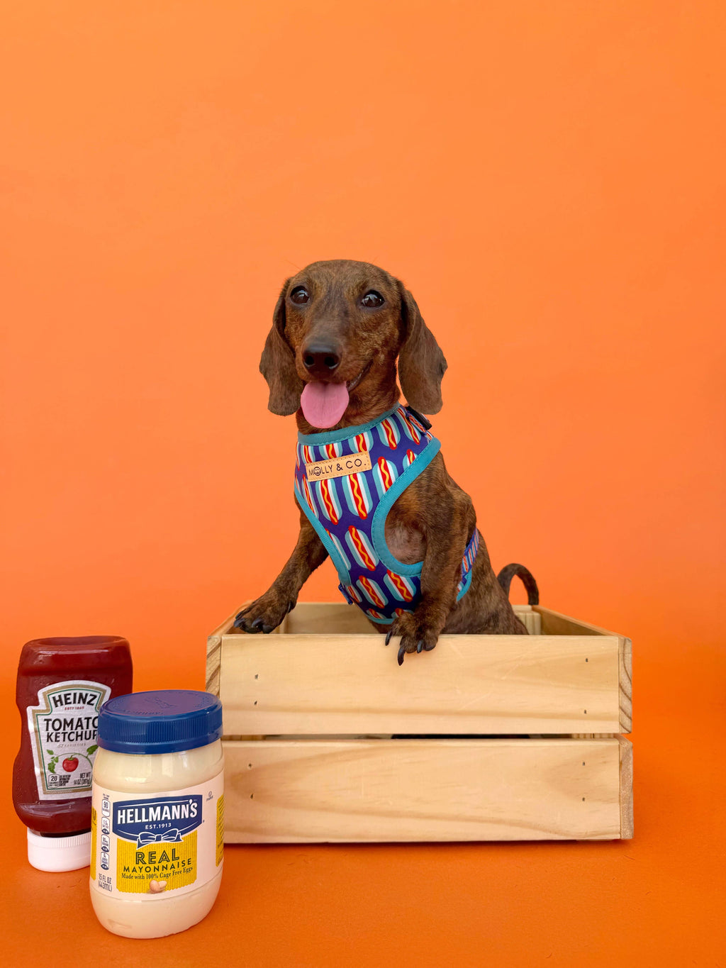 Wieners - Adjustable Dog Harness