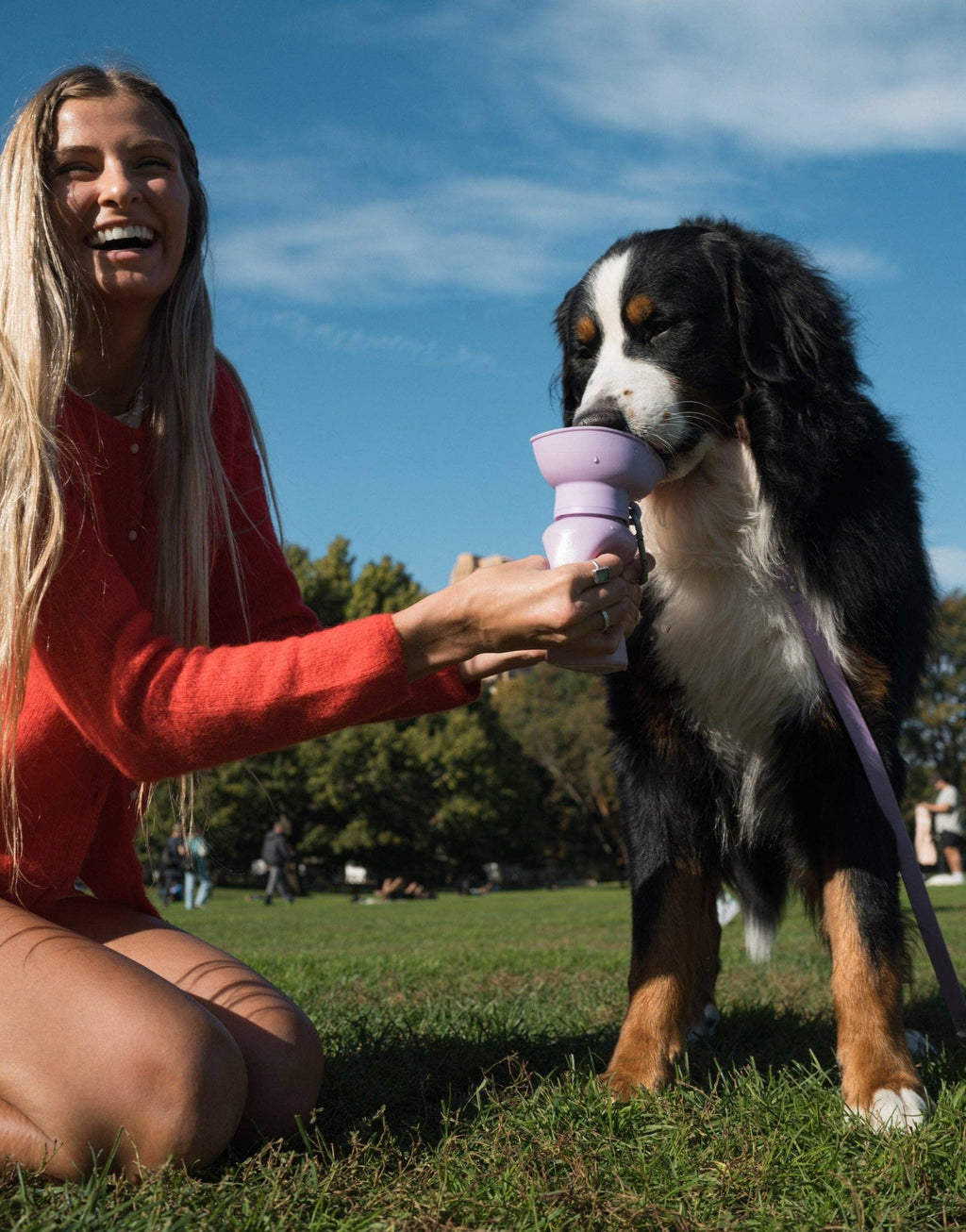 Dog Travel Water Bottle - 20oz Flip (Mixed 12 Pack)
