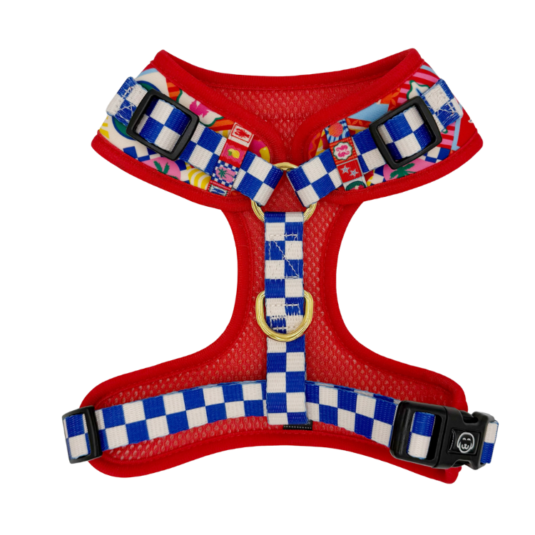 Amalfi - Adjustable Dog Harness