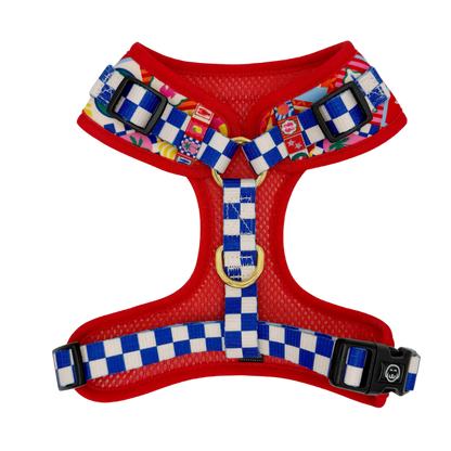 Amalfi - Adjustable Dog Harness