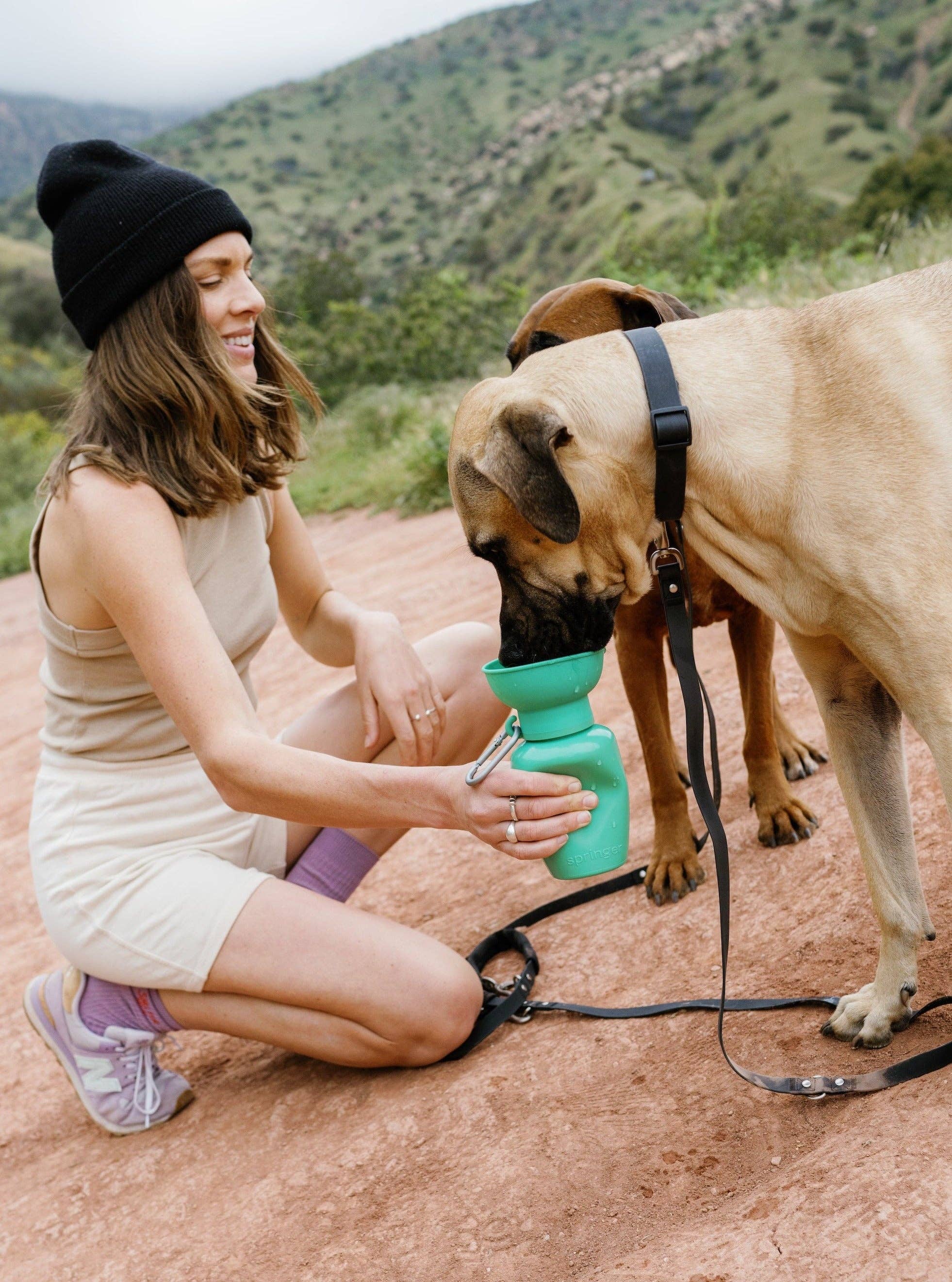 Dog Travel Water Bottle - 20oz Flip (Mixed 12 Pack)