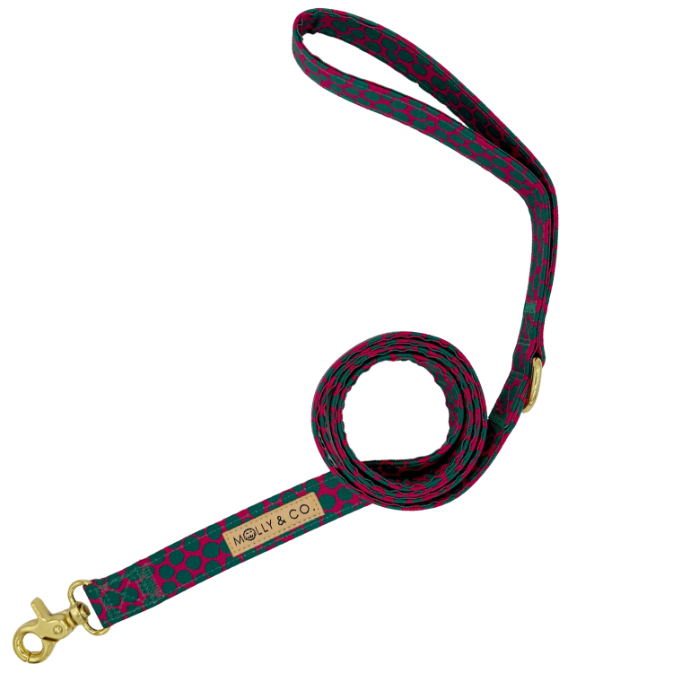 Polka Dogz - Leash