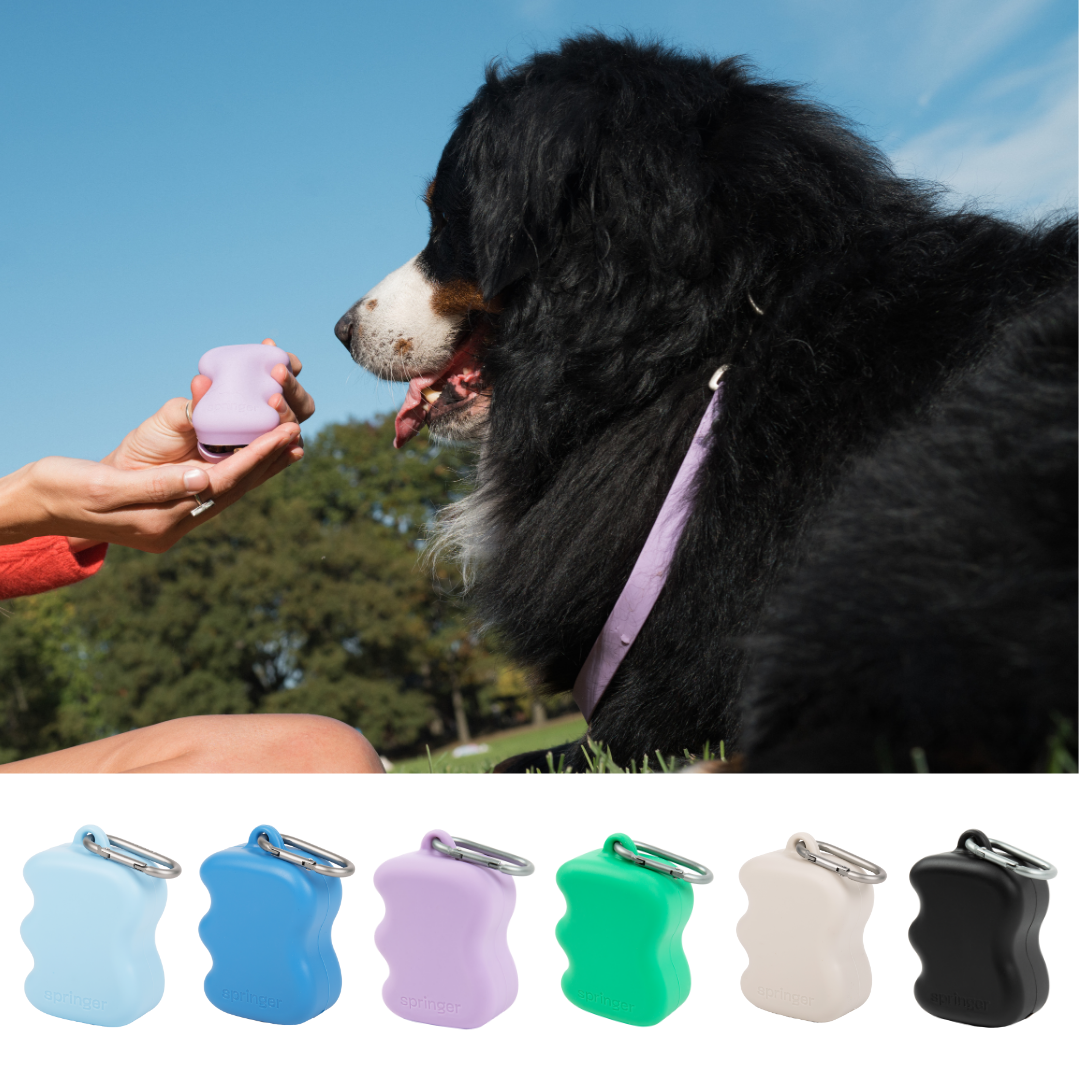 Silicone Dog Treat Dispenser - 6 Colors (Mixed 12 Pack)