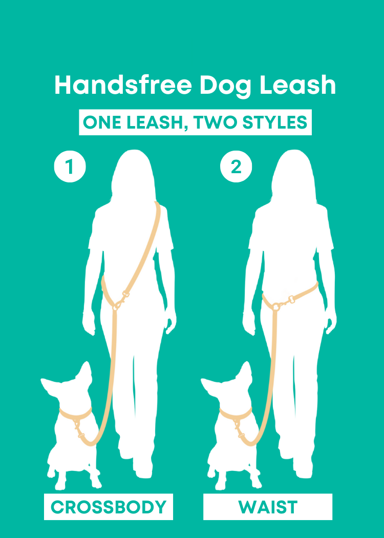 Moonrise - Handsfree Dog Leash
