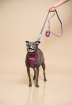 Polka Dogz - Leash