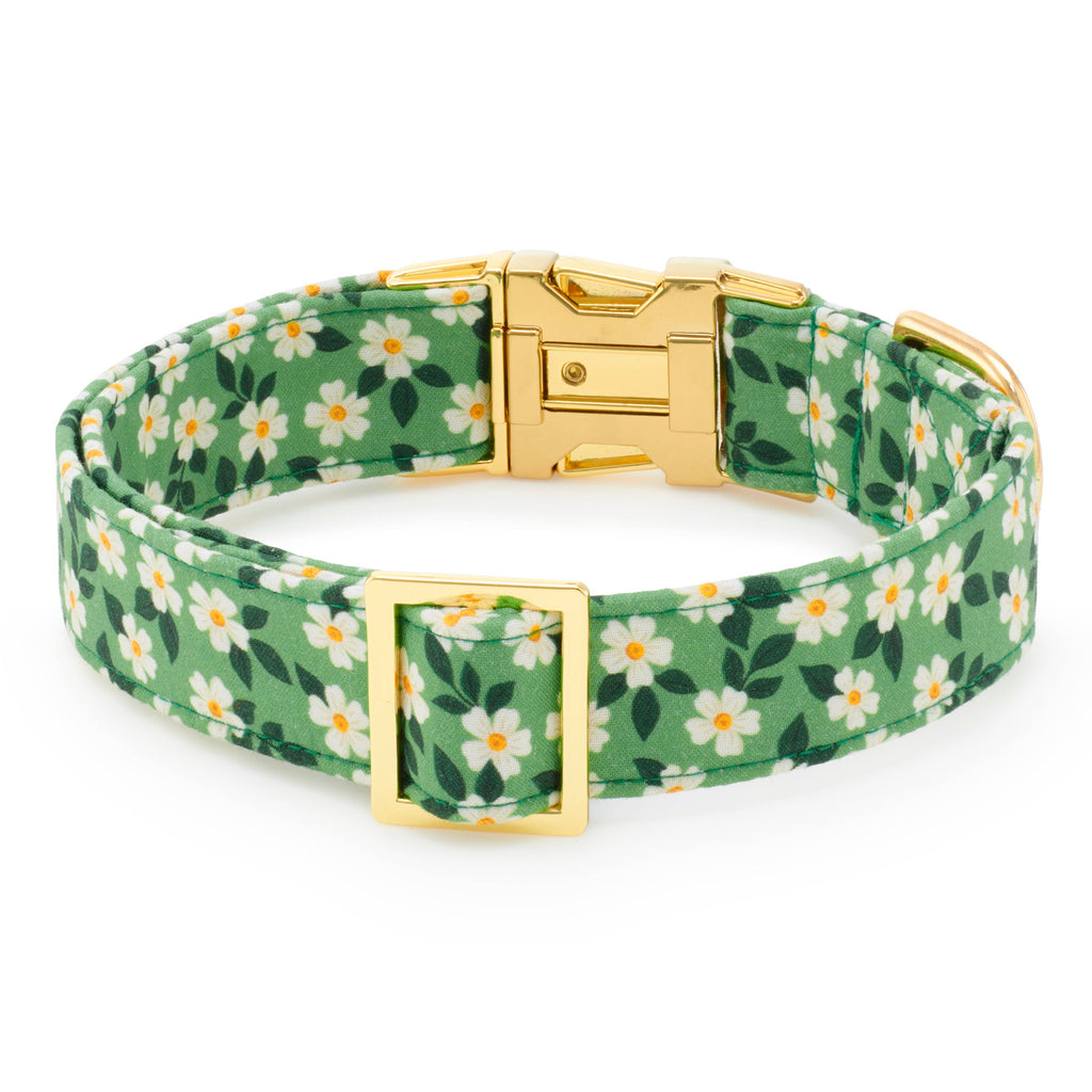 Dainty Daisies Dog Collar