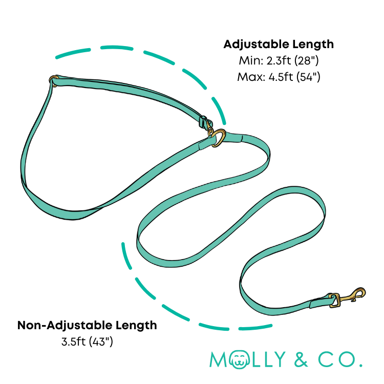 Moonrise - Handsfree Dog Leash