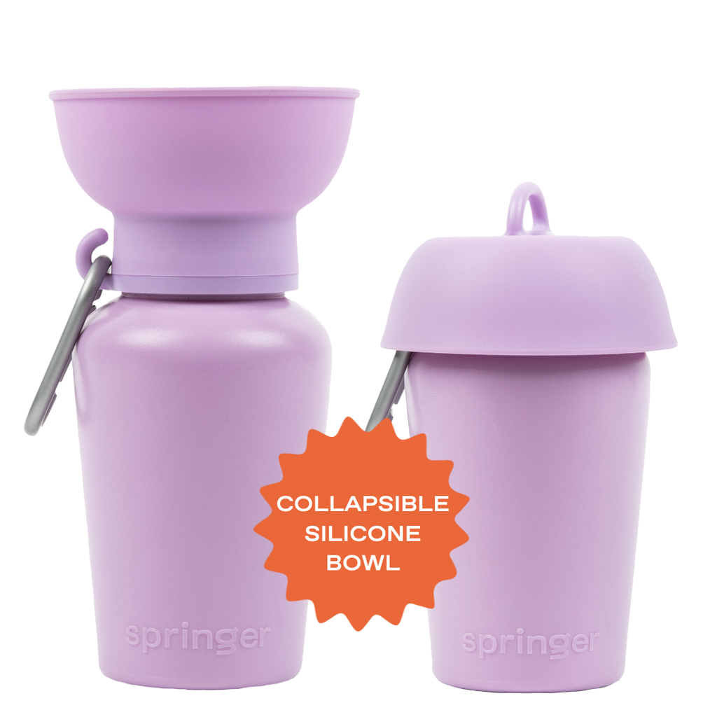 Dog Travel Water Bottle - 20oz Flip (Mixed 12 Pack)